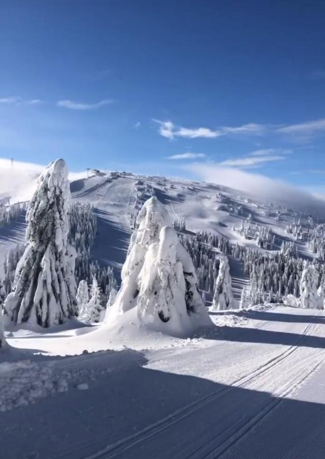 Sunny Kop Cardaci Apartment Kopaonik Luaran gambar